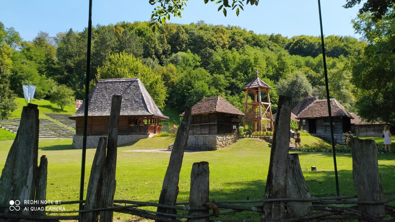 Apartmani - Vila Kovilje Banja Koviljača Exterior foto